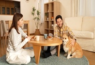 役所に入って目に入るのは日本語ばかりですイメージ